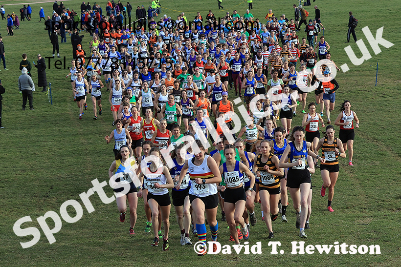 Senior Women, 2025 Start Fitness NEHL Sherman Cup/Divison Shield, Temple Park, South Shields. Photo: David T. Hewitson/Sports for All Pics